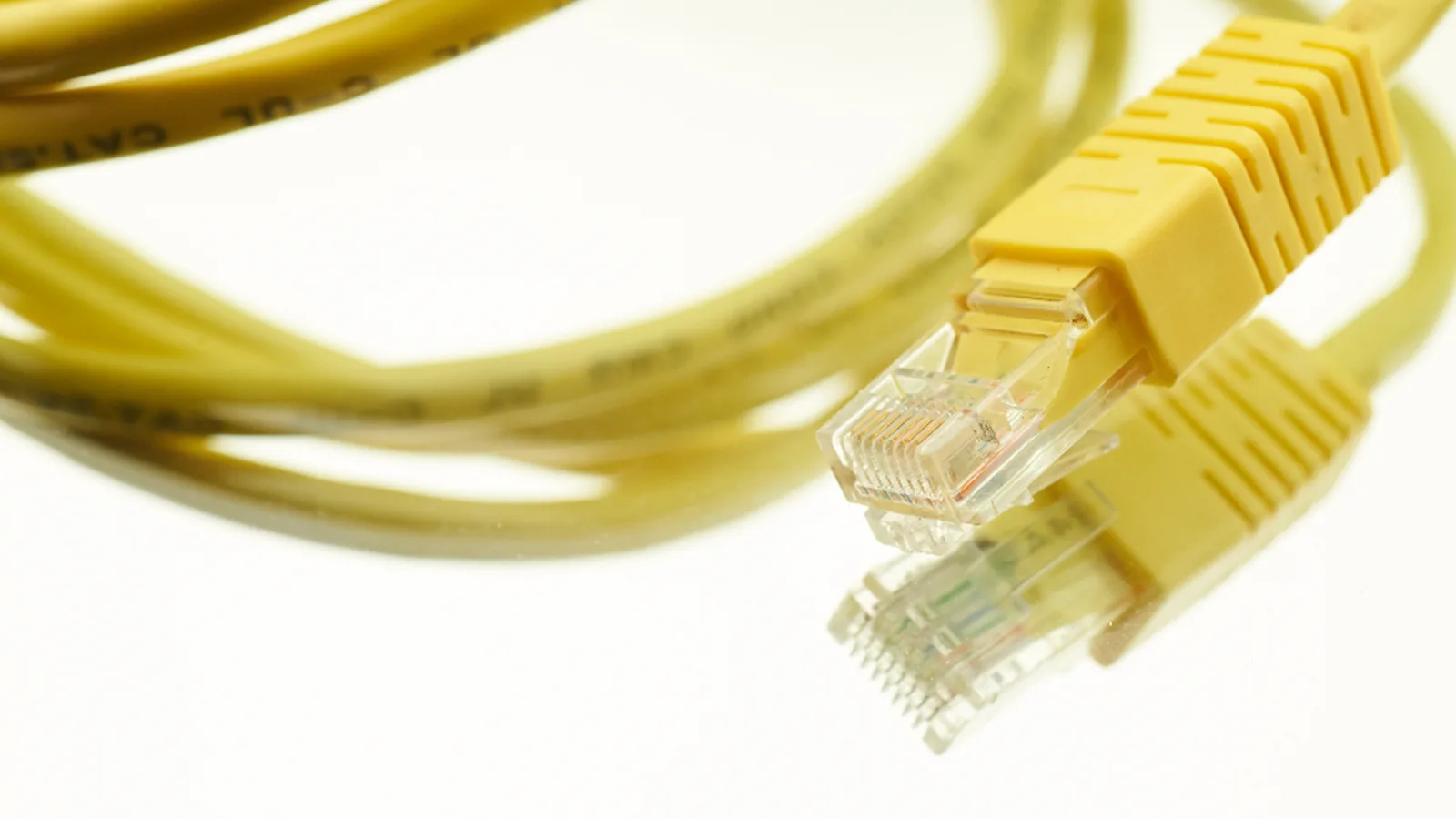 Coiled yellow ethernet network cables on a white background